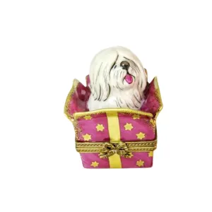 Brand: Pawsome Presents - Fast Shipping Option