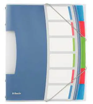 Esselte Divider Book Colour'Ice Multi-Colour - 6 Part