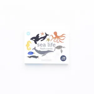 Flash Cards - Sea Life