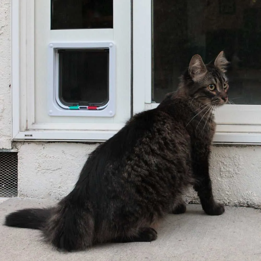 Whiskers & Windows Custom Cat Door for Vinyl Sliding Glass Doors