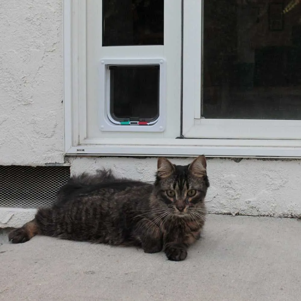 Whiskers & Windows Custom Cat Door for Vinyl Sliding Glass Doors